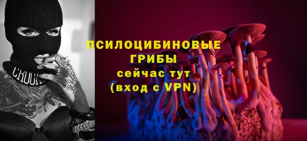 МДПВ Абинск