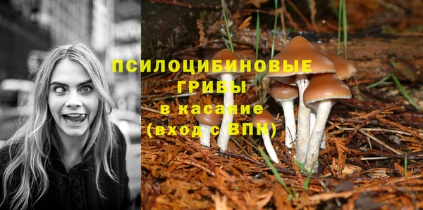 прущие крисы Абаза
