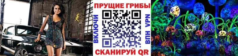 Псилоцибиновые грибы Psilocybine cubensis  Октябрьский 
